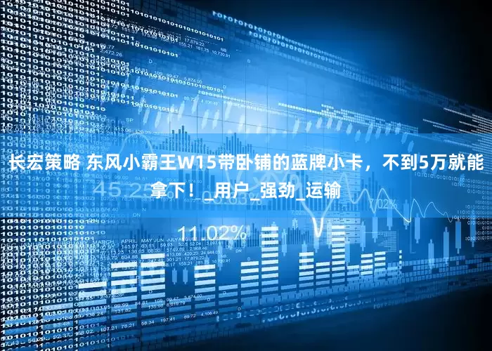 长宏策略 东风小霸王W15带卧铺的蓝牌小卡，不到5万就能拿下！_用户_强劲_运输